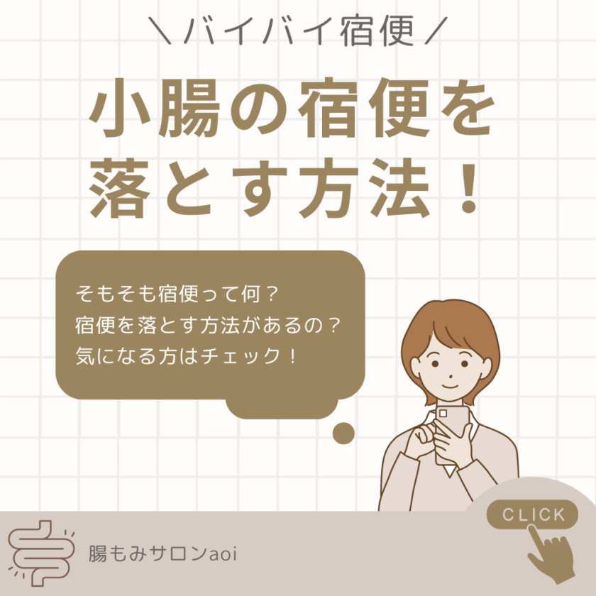 【バイバイ宿便!】小腸の汚れを落とす方法とは? - 【静岡県浜松市】腸もみ専門サロン aoi 腸もみ 浜松